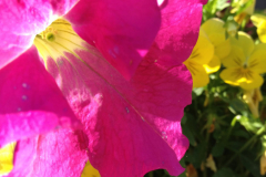 Santa Fe Biking Tours