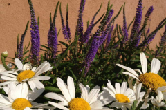 Santa Fe Biking Tours