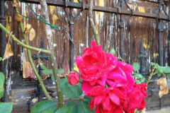 Santa Fe Biking Tours