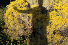 Santa Fe Biking Tours