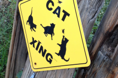 Santa Fe Biking Tours