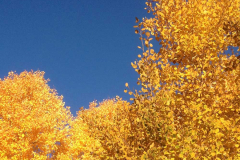 Santa Fe Biking Tours