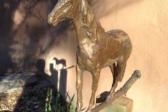 Santa Fe Biking Tours