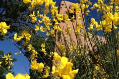 Santa Fe Biking Tours